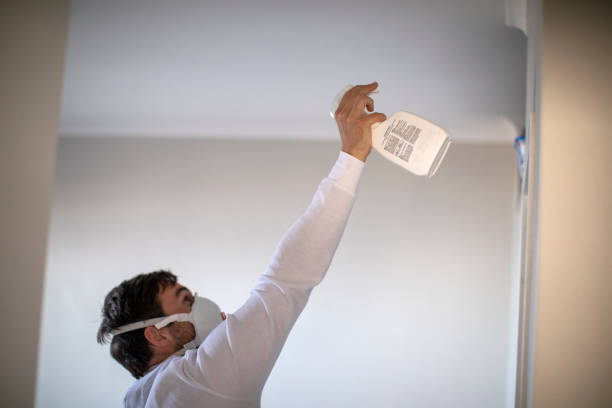 Best Mold Removal Near Me  in Forest Ranch, CA