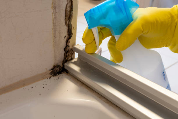 Best Crawl Space Mold Removal  in Forest Ranch, CA