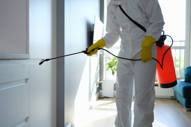 Best Office Mold Removal Services  in Forest Ranch, CA