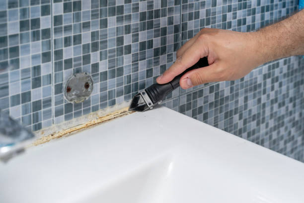 Best Affordable Mold Removal  in Forest Ranch, CA