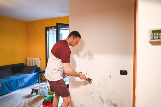 Best Home Mold Removal  in Forest Ranch, CA